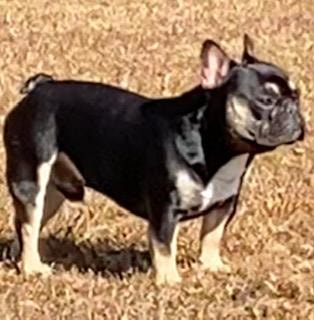 Duke