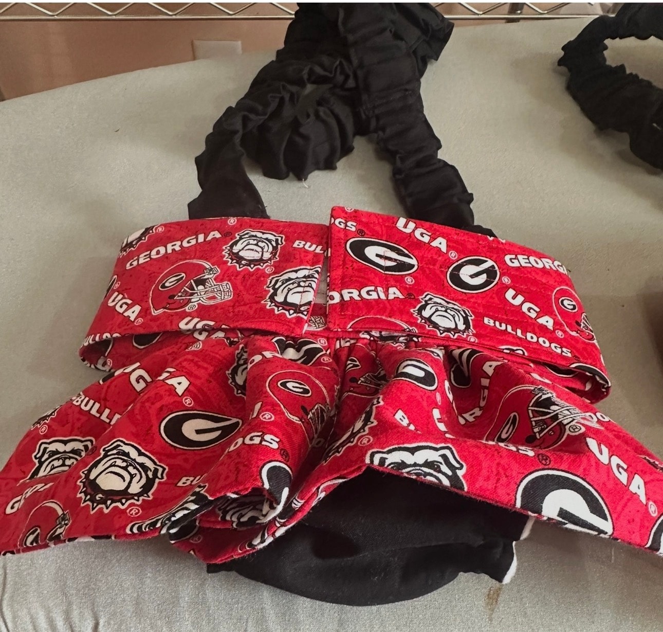 UGA Bulldogs