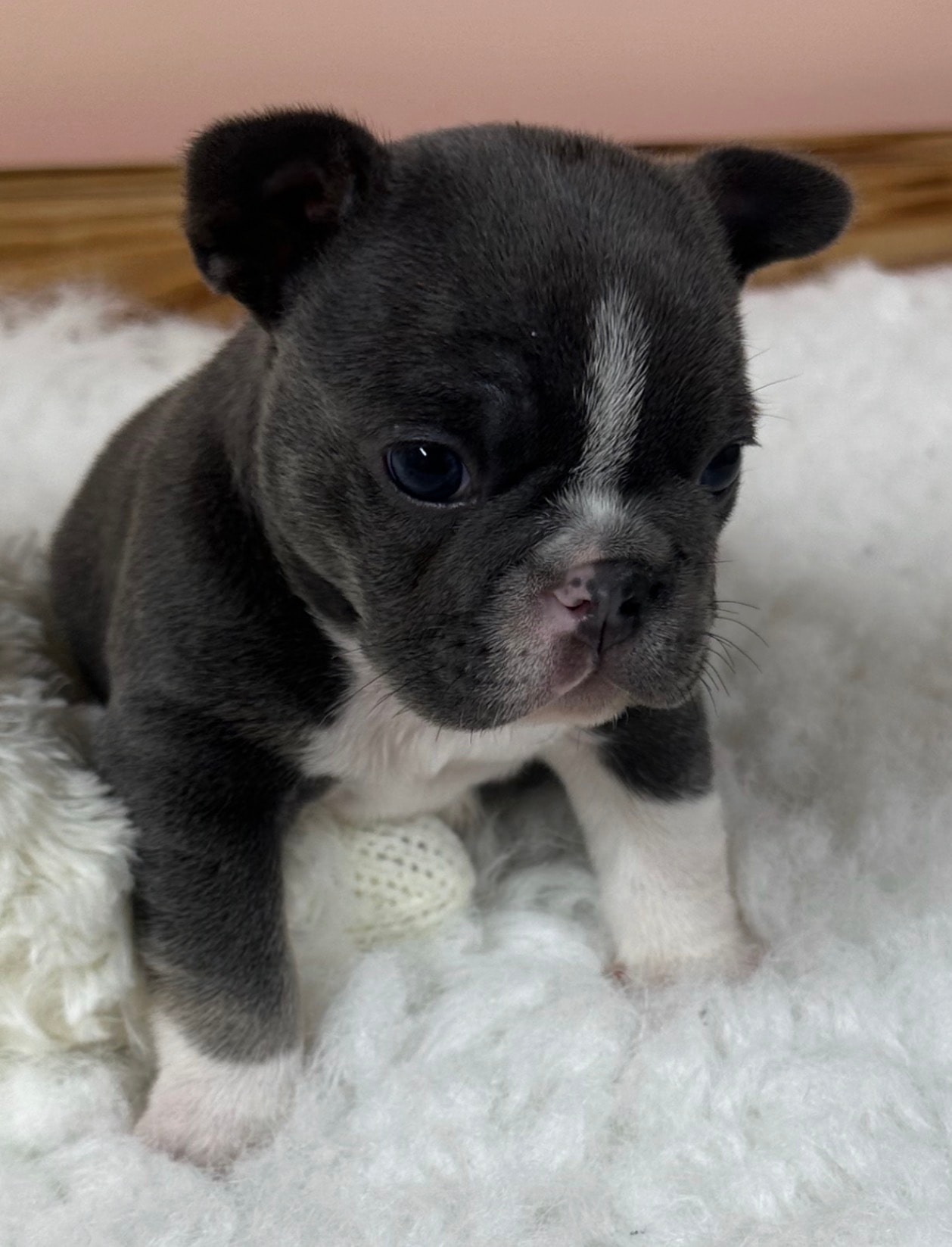 Remi